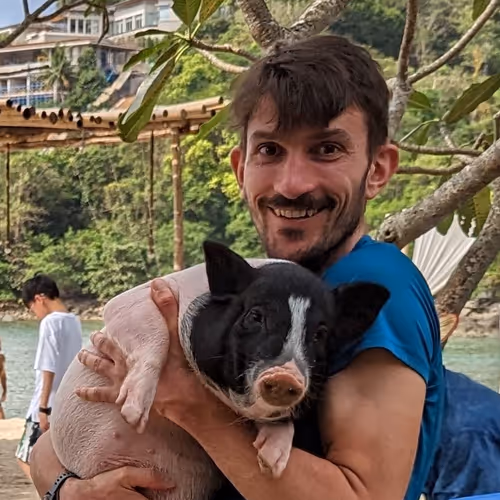 Paolo Scanferla's profile picture